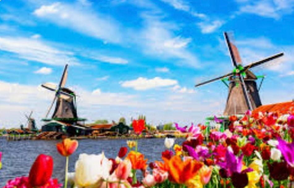 Huisje Finn, Met Grote Tuin En Veel Privacy Dirkshorn Dış mekan fotoğraf